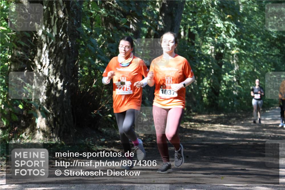 28.09.2025 - 33. Volkslauf durch das schöne Alstertal Strokosch-Dieckow http://msf.ph/oto/8974306 28.09.2025 12:40:46 Laufen 2275, 1037 meine-sportfotos.de