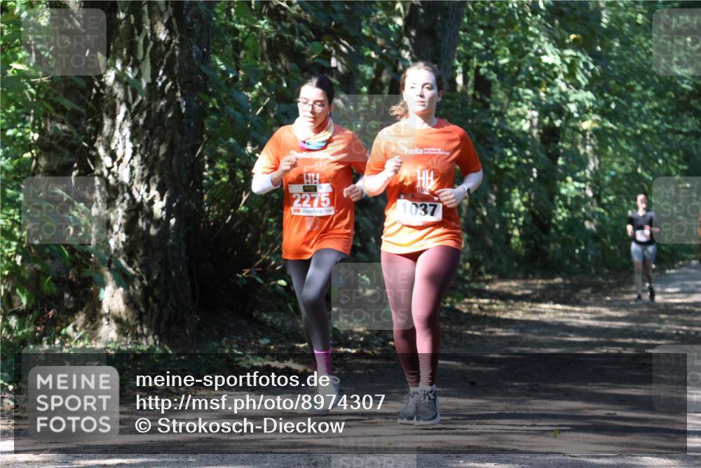 28.09.2025 - 33. Volkslauf durch das schöne Alstertal Strokosch-Dieckow http://msf.ph/oto/8974307 28.09.2025 12:40:46 Laufen 2275, 1037 meine-sportfotos.de