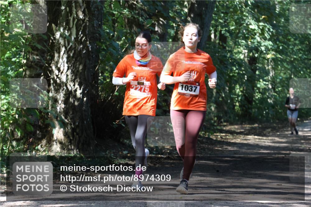 28.09.2025 - 33. Volkslauf durch das schöne Alstertal Strokosch-Dieckow http://msf.ph/oto/8974309 28.09.2025 12:40:46 Laufen 2275, 1037 meine-sportfotos.de