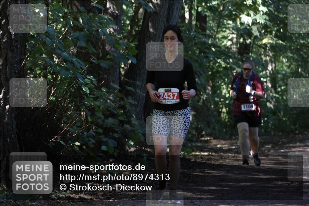 28.09.2025 - 33. Volkslauf durch das schöne Alstertal Strokosch-Dieckow http://msf.ph/oto/8974313 28.09.2025 12:41:00 Laufen 2437, 1109 meine-sportfotos.de