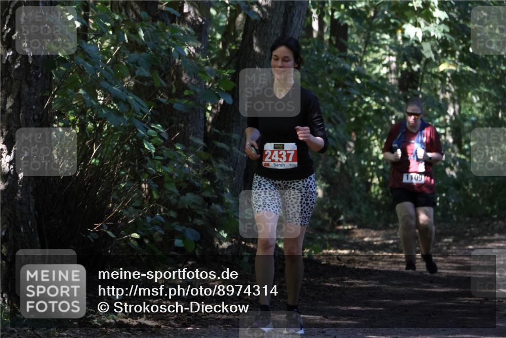 28.09.2025 - 33. Volkslauf durch das schöne Alstertal Strokosch-Dieckow http://msf.ph/oto/8974314 28.09.2025 12:41:00 Laufen 2437 meine-sportfotos.de