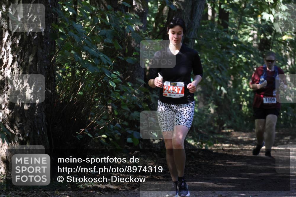 28.09.2025 - 33. Volkslauf durch das schöne Alstertal Strokosch-Dieckow http://msf.ph/oto/8974319 28.09.2025 12:41:00 Laufen 2437, 1109 meine-sportfotos.de