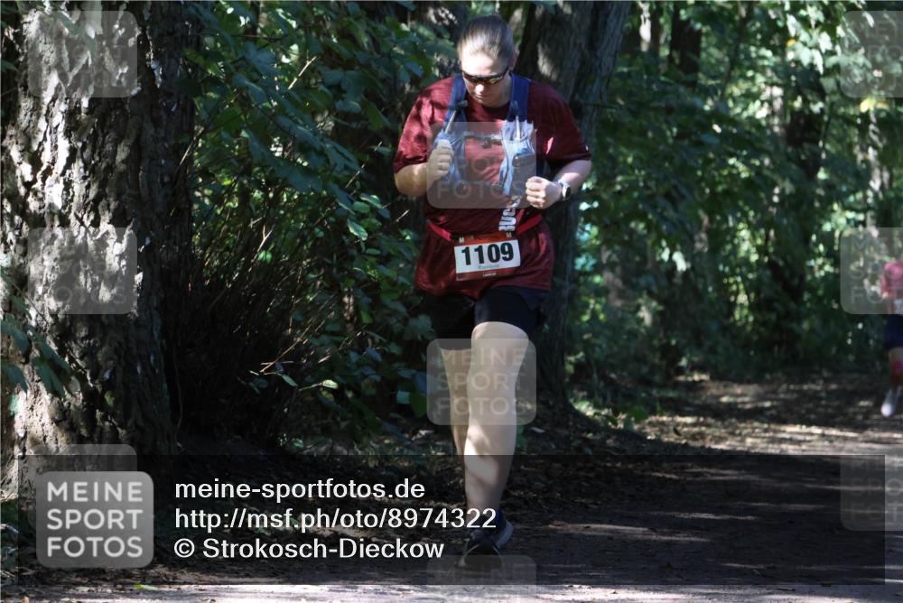 28.09.2025 - 33. Volkslauf durch das schöne Alstertal Strokosch-Dieckow http://msf.ph/oto/8974322 28.09.2025 12:41:06 Laufen 3, 1109 meine-sportfotos.de