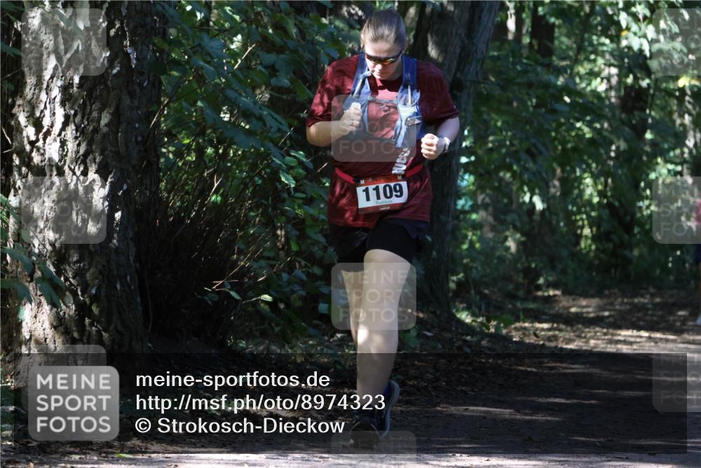 28.09.2025 - 33. Volkslauf durch das schöne Alstertal Strokosch-Dieckow http://msf.ph/oto/8974323 28.09.2025 12:41:06 Laufen 1109 meine-sportfotos.de