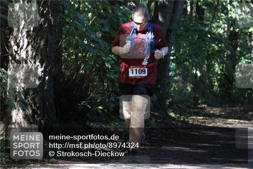 28.09.2025 - 33. Volkslauf durch das schöne Alstertal Strokosch-Dieckow http://msf.ph/oto/8974324 28.09.2025 12:41:06 Laufen 1109 meine-sportfotos.de