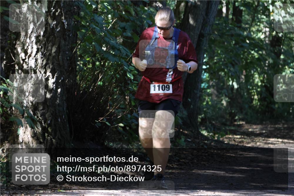 28.09.2025 - 33. Volkslauf durch das schöne Alstertal Strokosch-Dieckow http://msf.ph/oto/8974325 28.09.2025 12:41:06 Laufen 1109 meine-sportfotos.de