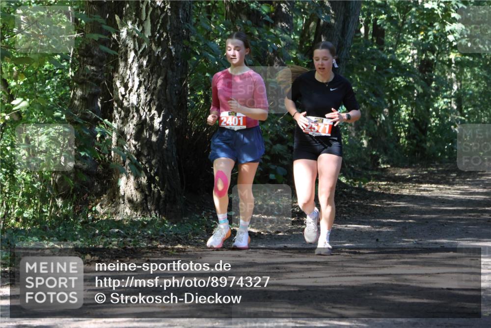 28.09.2025 - 33. Volkslauf durch das schöne Alstertal Strokosch-Dieckow http://msf.ph/oto/8974327 28.09.2025 12:41:17 Laufen 2401 meine-sportfotos.de