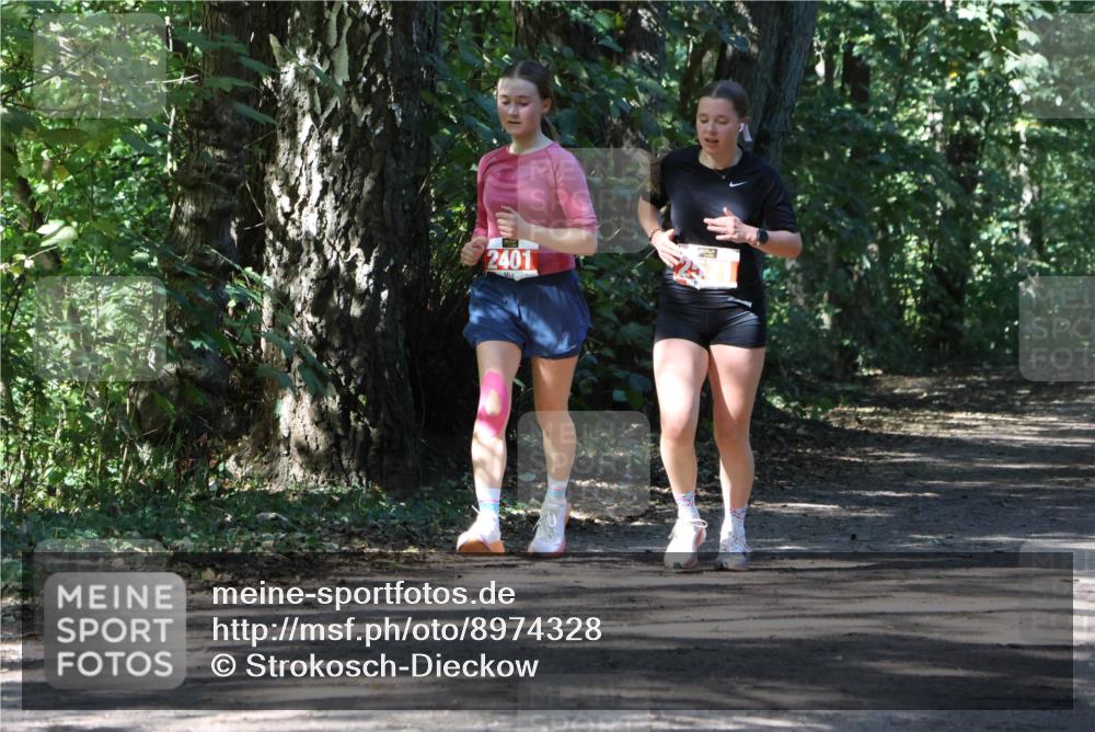 28.09.2025 - 33. Volkslauf durch das schöne Alstertal Strokosch-Dieckow http://msf.ph/oto/8974328 28.09.2025 12:41:17 Laufen 2401 meine-sportfotos.de