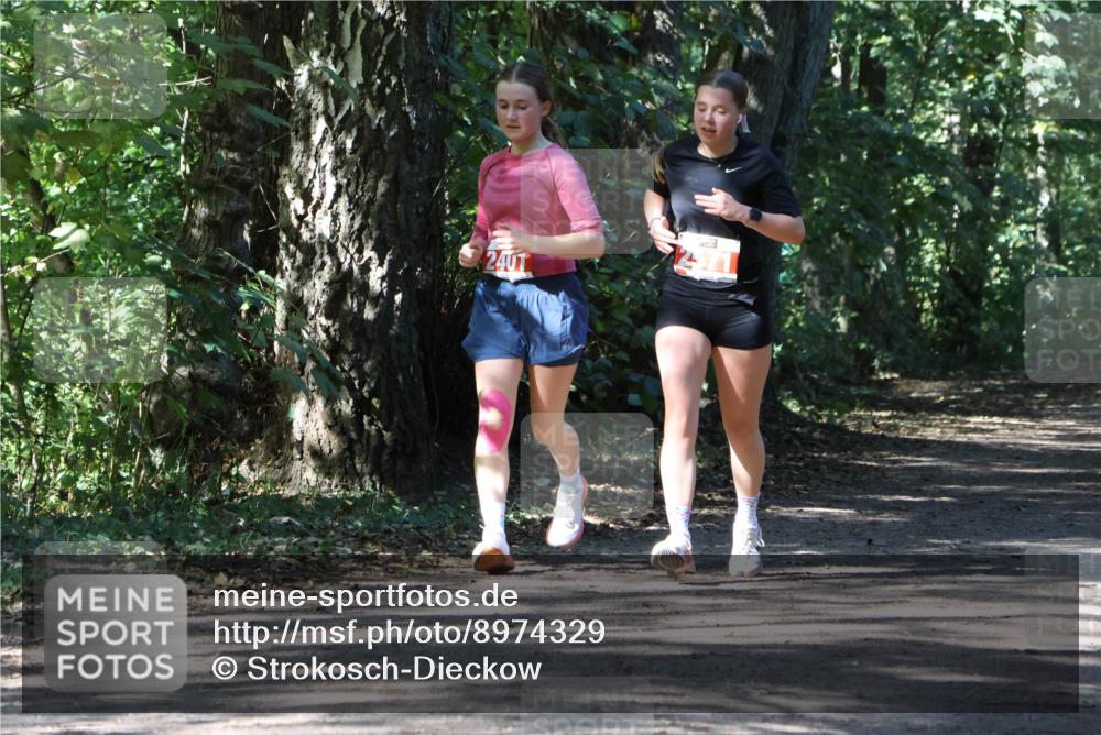 28.09.2025 - 33. Volkslauf durch das schöne Alstertal Strokosch-Dieckow http://msf.ph/oto/8974329 28.09.2025 12:41:17 Laufen 240 meine-sportfotos.de