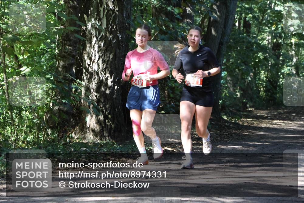 28.09.2025 - 33. Volkslauf durch das schöne Alstertal Strokosch-Dieckow http://msf.ph/oto/8974331 28.09.2025 12:41:18 Laufen 240 meine-sportfotos.de