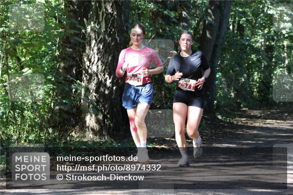 28.09.2025 - 33. Volkslauf durch das schöne Alstertal Strokosch-Dieckow http://msf.ph/oto/8974332 28.09.2025 12:41:18 Laufen 2401, 2571 meine-sportfotos.de