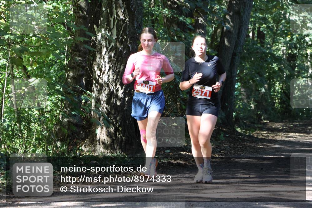 28.09.2025 - 33. Volkslauf durch das schöne Alstertal Strokosch-Dieckow http://msf.ph/oto/8974333 28.09.2025 12:41:18 Laufen 2571 meine-sportfotos.de