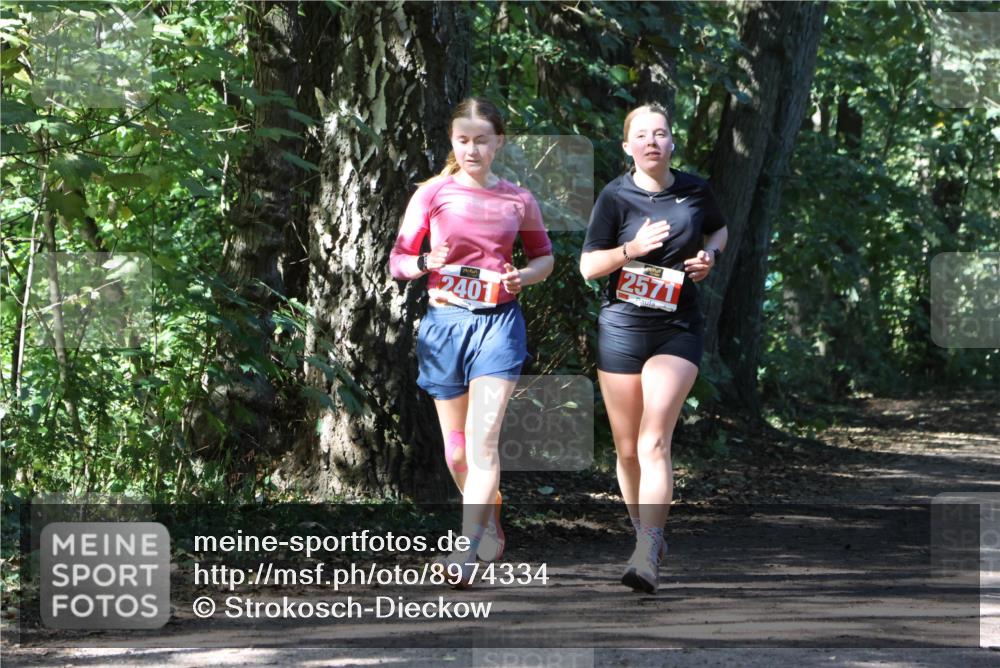 28.09.2025 - 33. Volkslauf durch das schöne Alstertal Strokosch-Dieckow http://msf.ph/oto/8974334 28.09.2025 12:41:18 Laufen 2401, 2571 meine-sportfotos.de