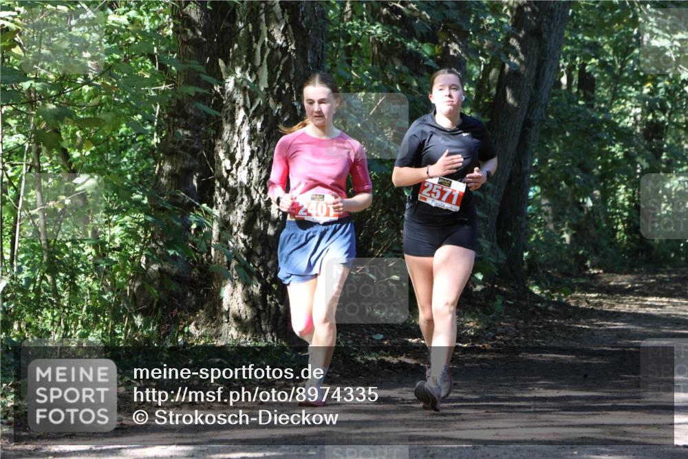 28.09.2025 - 33. Volkslauf durch das schöne Alstertal Strokosch-Dieckow http://msf.ph/oto/8974335 28.09.2025 12:41:18 Laufen 2401, 2571 meine-sportfotos.de