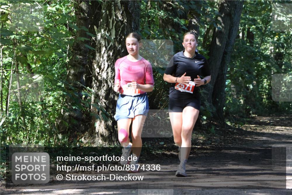 28.09.2025 - 33. Volkslauf durch das schöne Alstertal Strokosch-Dieckow http://msf.ph/oto/8974336 28.09.2025 12:41:18 Laufen 2571 meine-sportfotos.de
