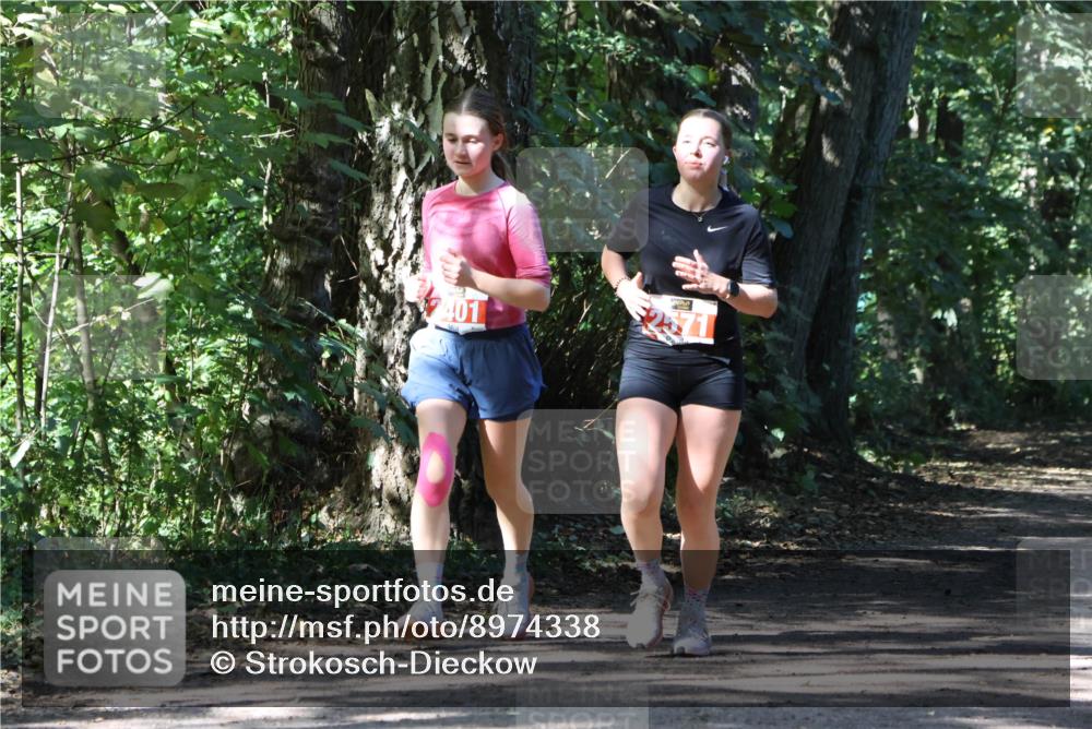 28.09.2025 - 33. Volkslauf durch das schöne Alstertal Strokosch-Dieckow http://msf.ph/oto/8974338 28.09.2025 12:41:18 Laufen 401 meine-sportfotos.de