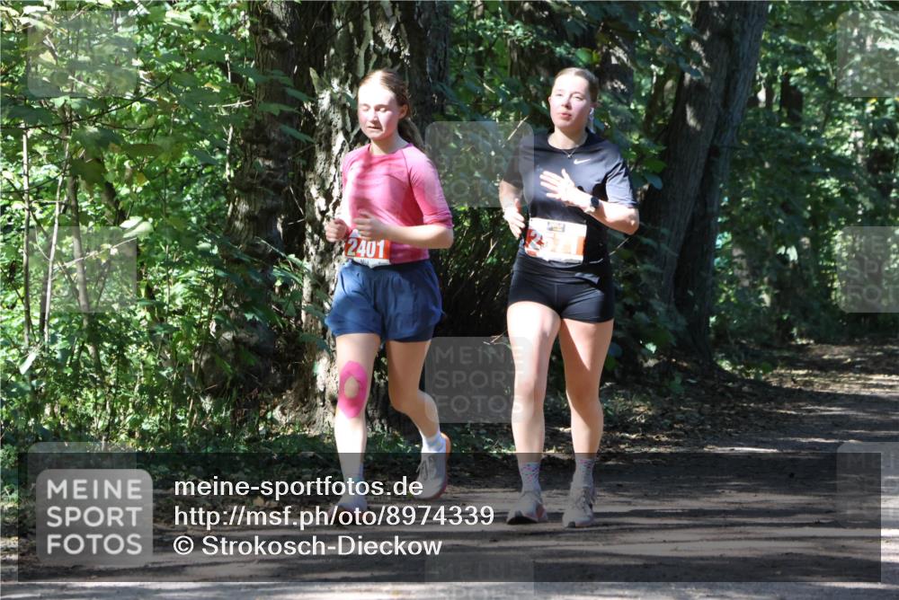28.09.2025 - 33. Volkslauf durch das schöne Alstertal Strokosch-Dieckow http://msf.ph/oto/8974339 28.09.2025 12:41:18 Laufen 2401 meine-sportfotos.de