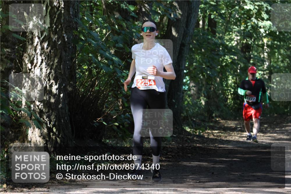 28.09.2025 - 33. Volkslauf durch das schöne Alstertal Strokosch-Dieckow http://msf.ph/oto/8974340 28.09.2025 12:41:55 Laufen 2254, 1777 meine-sportfotos.de