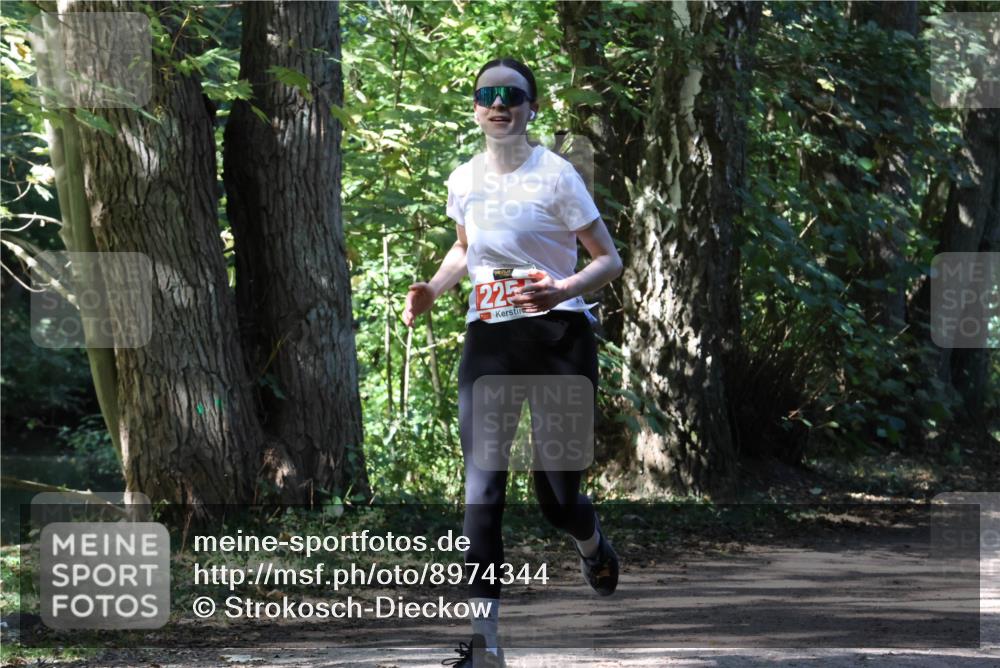 28.09.2025 - 33. Volkslauf durch das schöne Alstertal Strokosch-Dieckow http://msf.ph/oto/8974344 28.09.2025 12:41:57 Laufen 225 meine-sportfotos.de