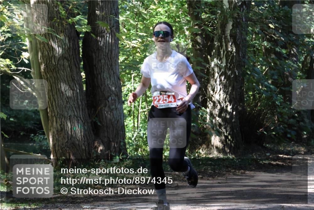 28.09.2025 - 33. Volkslauf durch das schöne Alstertal Strokosch-Dieckow http://msf.ph/oto/8974345 28.09.2025 12:41:57 Laufen 2254 meine-sportfotos.de