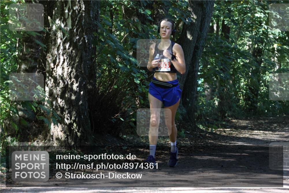 28.09.2025 - 33. Volkslauf durch das schöne Alstertal Strokosch-Dieckow http://msf.ph/oto/8974361 28.09.2025 12:42:20 Laufen 303 meine-sportfotos.de