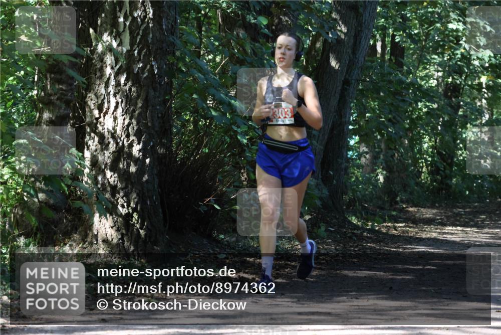 28.09.2025 - 33. Volkslauf durch das schöne Alstertal Strokosch-Dieckow http://msf.ph/oto/8974362 28.09.2025 12:42:20 Laufen 2303 meine-sportfotos.de