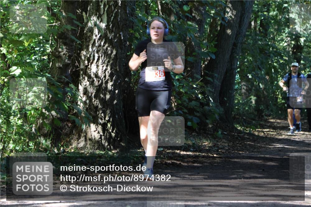 28.09.2025 - 33. Volkslauf durch das schöne Alstertal Strokosch-Dieckow http://msf.ph/oto/8974382 28.09.2025 12:43:17 Laufen 036 meine-sportfotos.de