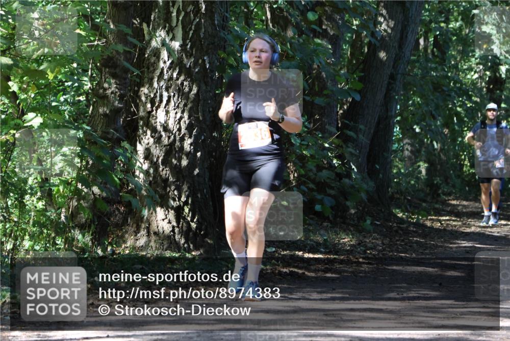 28.09.2025 - 33. Volkslauf durch das schöne Alstertal Strokosch-Dieckow http://msf.ph/oto/8974383 28.09.2025 12:43:17 Laufen 36 meine-sportfotos.de