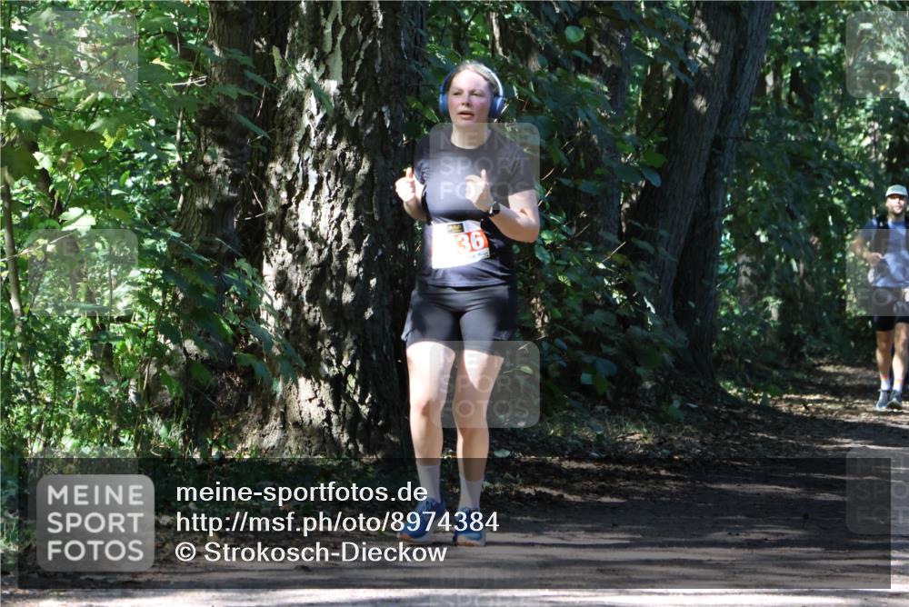 28.09.2025 - 33. Volkslauf durch das schöne Alstertal Strokosch-Dieckow http://msf.ph/oto/8974384 28.09.2025 12:43:17 Laufen 36 meine-sportfotos.de