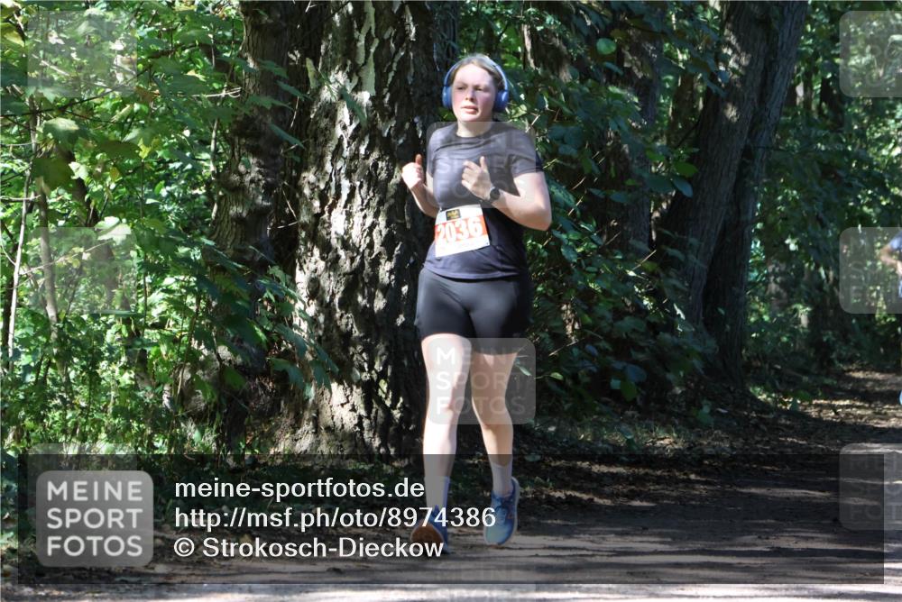 28.09.2025 - 33. Volkslauf durch das schöne Alstertal Strokosch-Dieckow http://msf.ph/oto/8974386 28.09.2025 12:43:17 Laufen 2036 meine-sportfotos.de