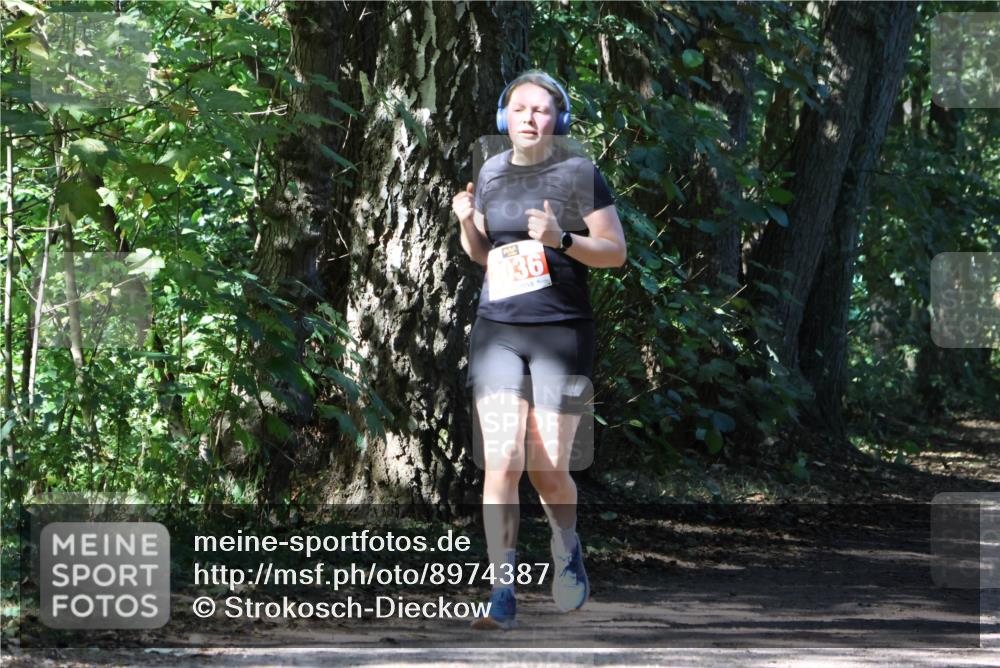 28.09.2025 - 33. Volkslauf durch das schöne Alstertal Strokosch-Dieckow http://msf.ph/oto/8974387 28.09.2025 12:43:17 Laufen 036 meine-sportfotos.de