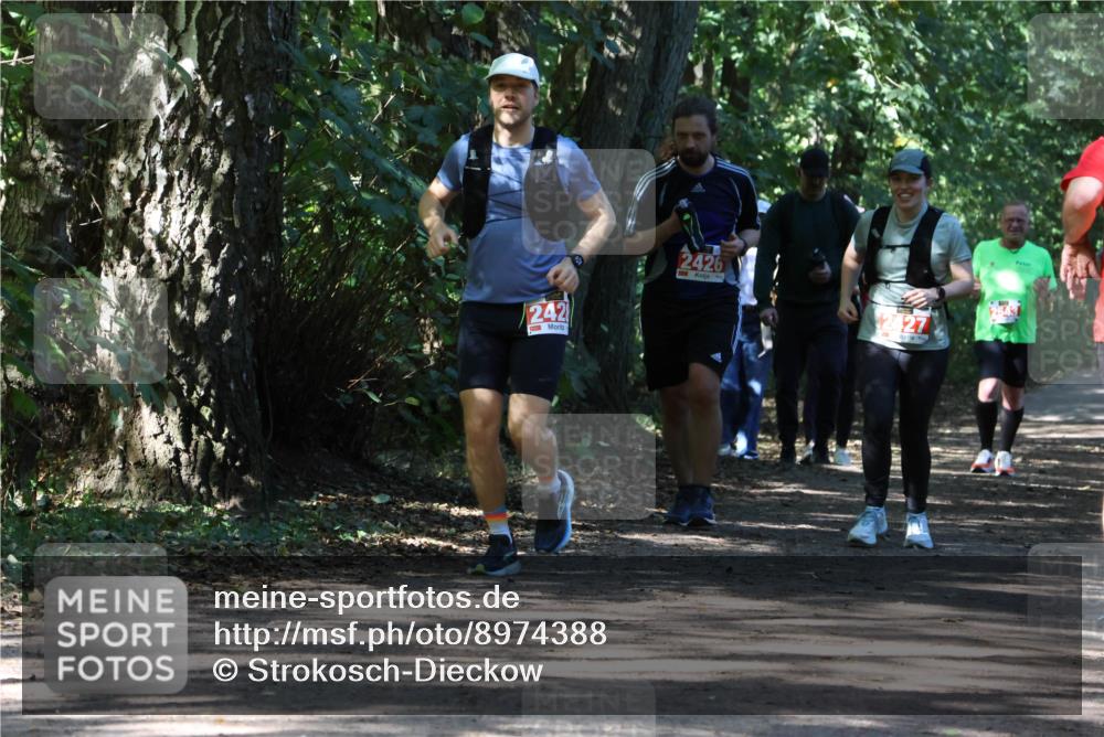 28.09.2025 - 33. Volkslauf durch das schöne Alstertal Strokosch-Dieckow http://msf.ph/oto/8974388 28.09.2025 12:43:26 Laufen 242, 2426, 2427 meine-sportfotos.de