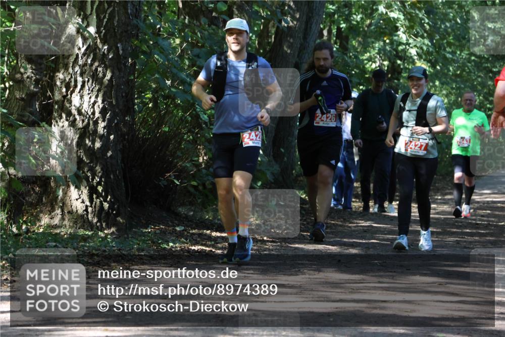 28.09.2025 - 33. Volkslauf durch das schöne Alstertal Strokosch-Dieckow http://msf.ph/oto/8974389 28.09.2025 12:43:26 Laufen 242, 2426, 2427 meine-sportfotos.de