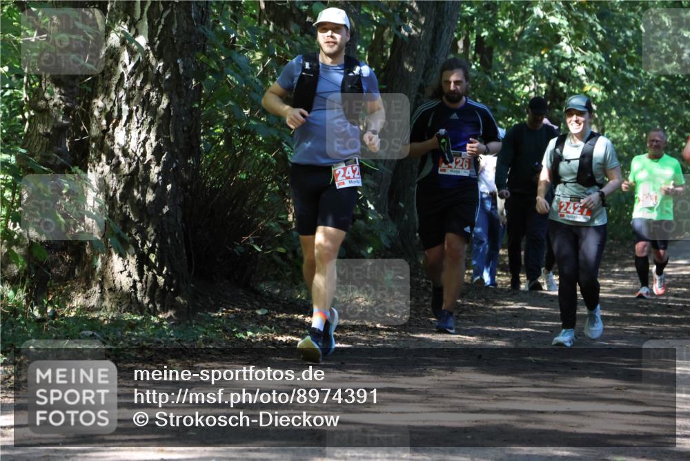 28.09.2025 - 33. Volkslauf durch das schöne Alstertal Strokosch-Dieckow http://msf.ph/oto/8974391 28.09.2025 12:43:27 Laufen 242, 426, 242 meine-sportfotos.de