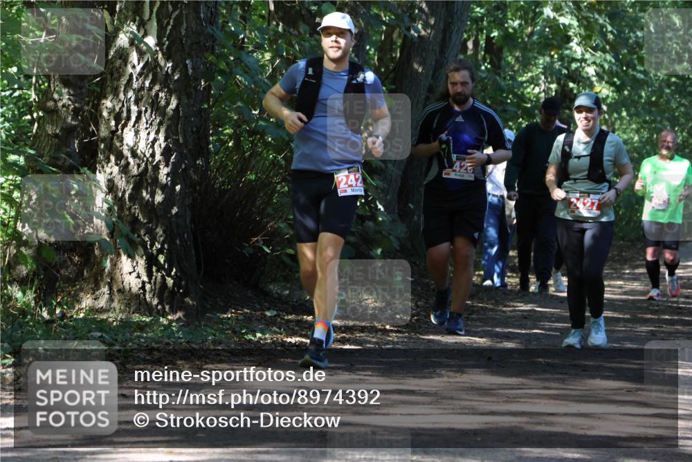 28.09.2025 - 33. Volkslauf durch das schöne Alstertal Strokosch-Dieckow http://msf.ph/oto/8974392 28.09.2025 12:43:27 Laufen 242, 425, 3, 2427 meine-sportfotos.de
