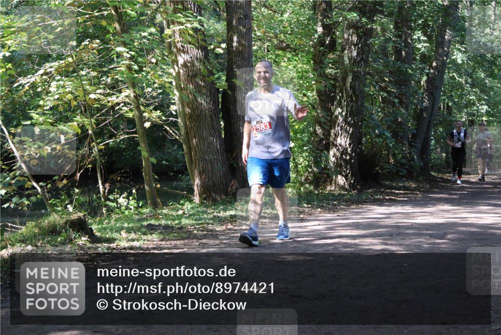 28.09.2025 - 33. Volkslauf durch das schöne Alstertal Strokosch-Dieckow http://msf.ph/oto/8974421 28.09.2025 12:44:03 Laufen 2583 meine-sportfotos.de