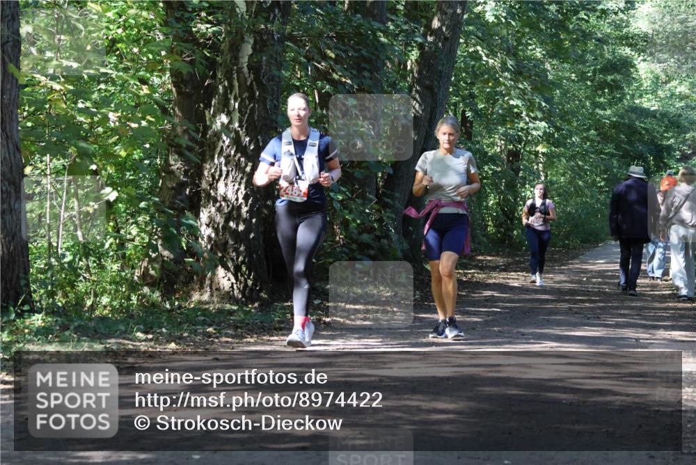 28.09.2025 - 33. Volkslauf durch das schöne Alstertal Strokosch-Dieckow http://msf.ph/oto/8974422 28.09.2025 12:44:08 Laufen  meine-sportfotos.de