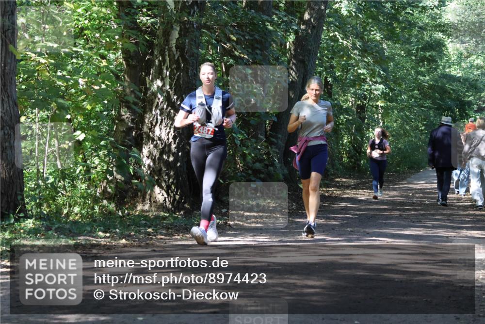 28.09.2025 - 33. Volkslauf durch das schöne Alstertal Strokosch-Dieckow http://msf.ph/oto/8974423 28.09.2025 12:44:08 Laufen 248 meine-sportfotos.de
