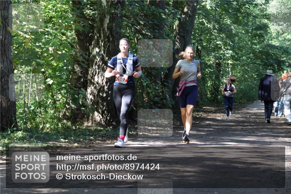 28.09.2025 - 33. Volkslauf durch das schöne Alstertal Strokosch-Dieckow http://msf.ph/oto/8974424 28.09.2025 12:44:08 Laufen 2487 meine-sportfotos.de