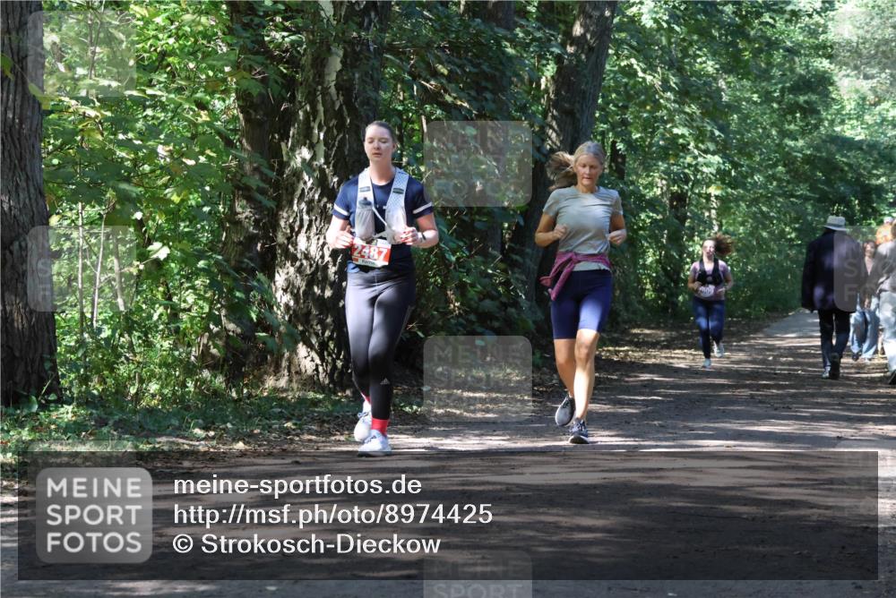 28.09.2025 - 33. Volkslauf durch das schöne Alstertal Strokosch-Dieckow http://msf.ph/oto/8974425 28.09.2025 12:44:08 Laufen 2487 meine-sportfotos.de