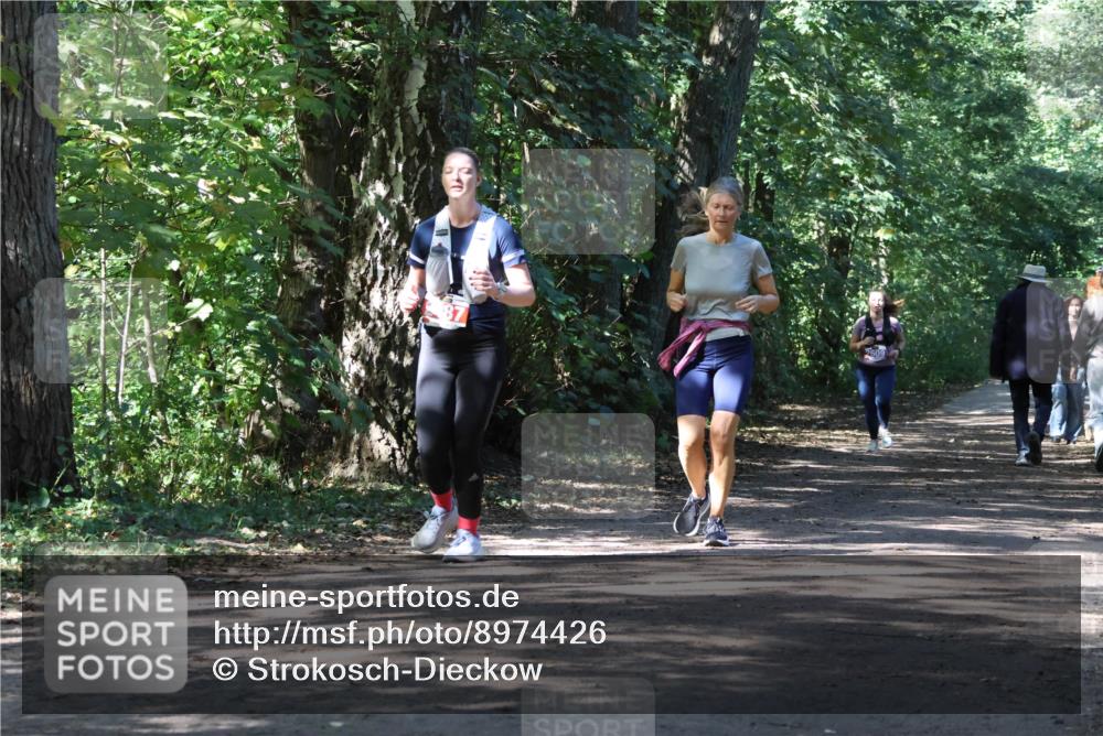 28.09.2025 - 33. Volkslauf durch das schöne Alstertal Strokosch-Dieckow http://msf.ph/oto/8974426 28.09.2025 12:44:08 Laufen 2609 meine-sportfotos.de
