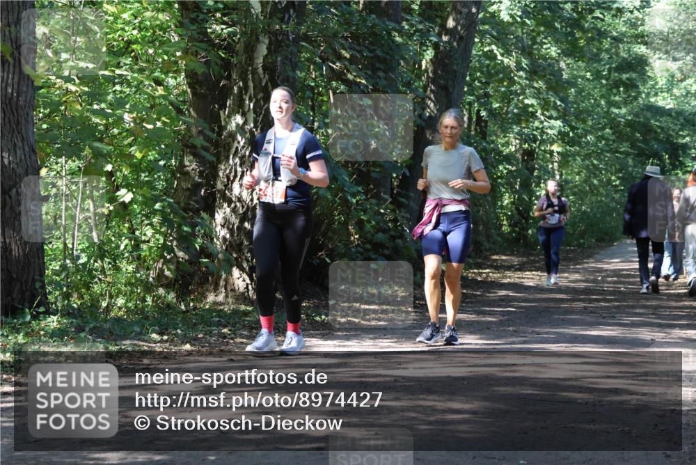 28.09.2025 - 33. Volkslauf durch das schöne Alstertal Strokosch-Dieckow http://msf.ph/oto/8974427 28.09.2025 12:44:08 Laufen  meine-sportfotos.de