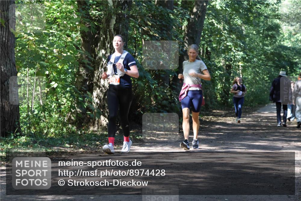 28.09.2025 - 33. Volkslauf durch das schöne Alstertal Strokosch-Dieckow http://msf.ph/oto/8974428 28.09.2025 12:44:08 Laufen  meine-sportfotos.de