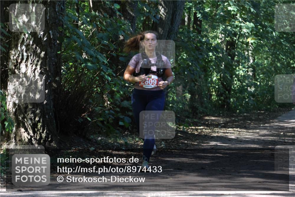 28.09.2025 - 33. Volkslauf durch das schöne Alstertal Strokosch-Dieckow http://msf.ph/oto/8974433 28.09.2025 12:44:14 Laufen 2609 meine-sportfotos.de