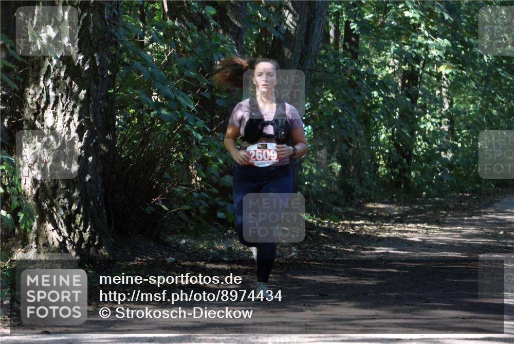28.09.2025 - 33. Volkslauf durch das schöne Alstertal Strokosch-Dieckow http://msf.ph/oto/8974434 28.09.2025 12:44:14 Laufen 2609 meine-sportfotos.de