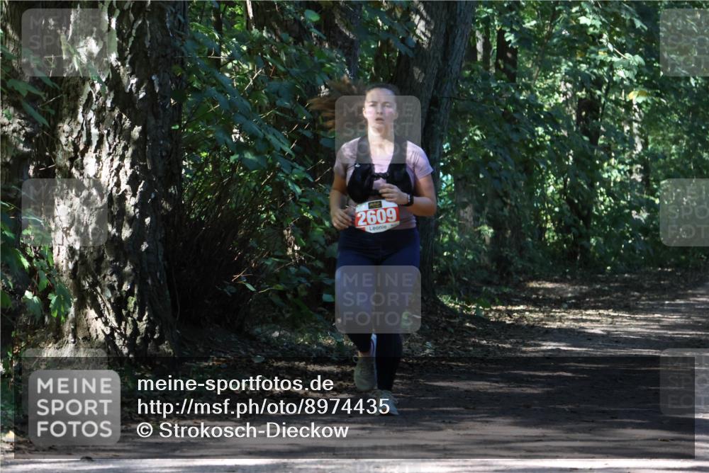 28.09.2025 - 33. Volkslauf durch das schöne Alstertal Strokosch-Dieckow http://msf.ph/oto/8974435 28.09.2025 12:44:14 Laufen 2609 meine-sportfotos.de