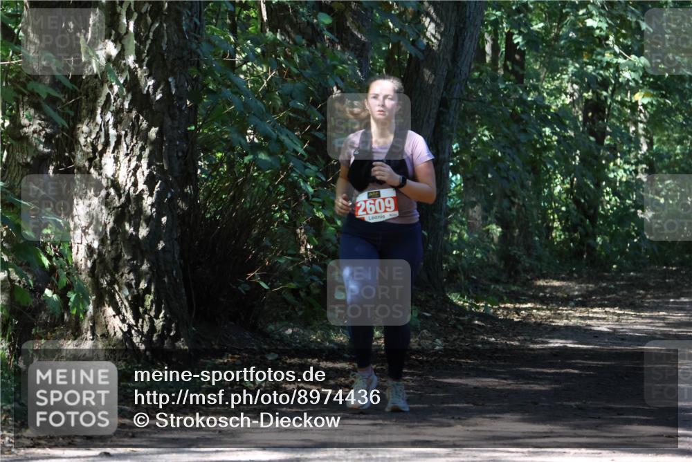 28.09.2025 - 33. Volkslauf durch das schöne Alstertal Strokosch-Dieckow http://msf.ph/oto/8974436 28.09.2025 12:44:14 Laufen 2609 meine-sportfotos.de