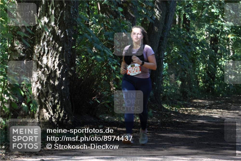 28.09.2025 - 33. Volkslauf durch das schöne Alstertal Strokosch-Dieckow http://msf.ph/oto/8974437 28.09.2025 12:44:14 Laufen 2609 meine-sportfotos.de