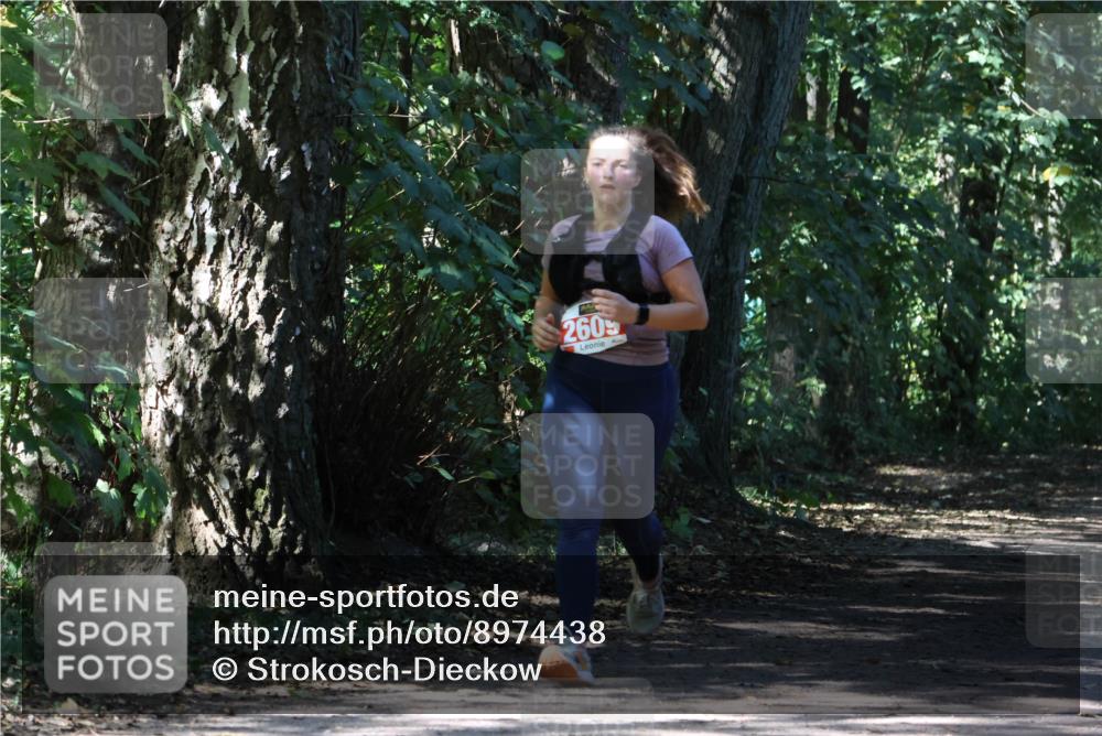 28.09.2025 - 33. Volkslauf durch das schöne Alstertal Strokosch-Dieckow http://msf.ph/oto/8974438 28.09.2025 12:44:14 Laufen 2609 meine-sportfotos.de