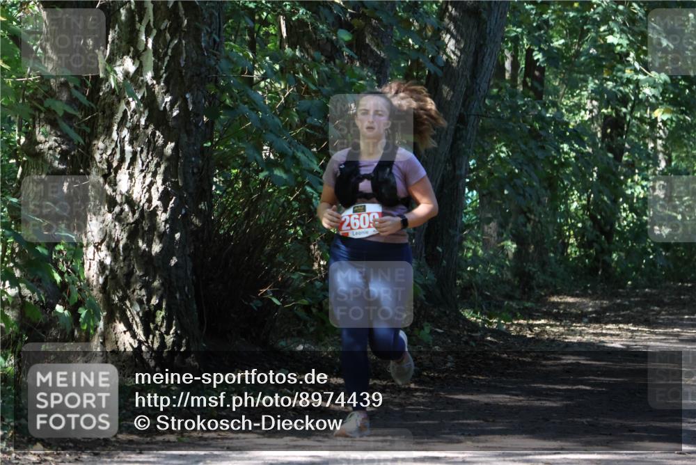 28.09.2025 - 33. Volkslauf durch das schöne Alstertal Strokosch-Dieckow http://msf.ph/oto/8974439 28.09.2025 12:44:14 Laufen 260 meine-sportfotos.de